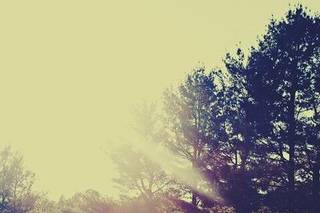 Wisp Resort - 31