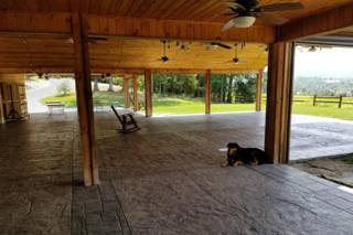 Shenandoah Woods - 23