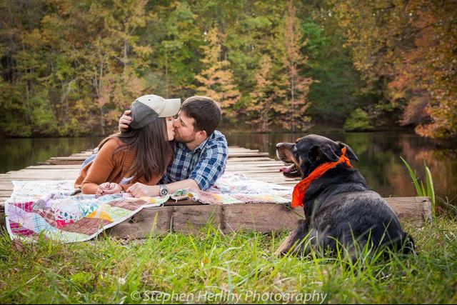 Steve Herlihy Photography - 3