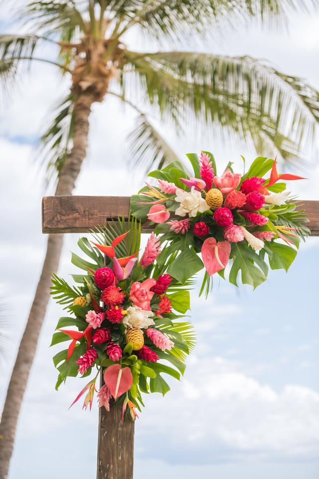 Hala Tropicals - 3