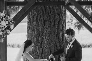 Timeless Tree Weddings - 16