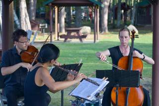 Windfern Ensemble - 6