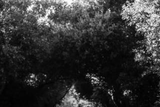 jwirth photography - 38