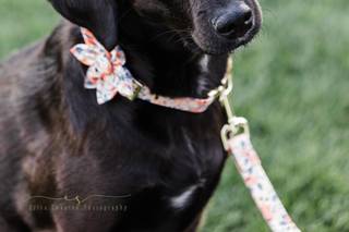 Erica Swantek Photography - 10