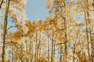 Kat Wickstrom Photography - 15