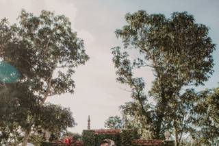 Robert Rios Photography - 44