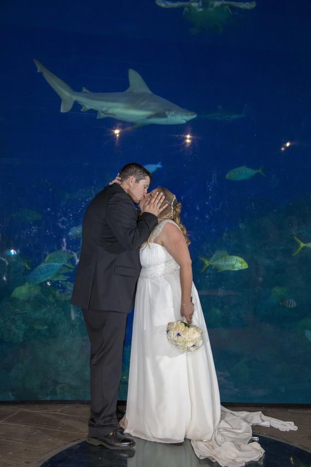 Downtown Aquarium - 2