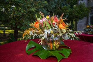 Busy B's Floral - 170