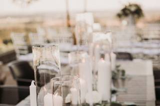 Black Swan Events - 17