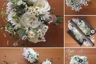 Mayfly Flowers - 84