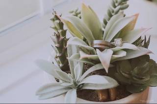 Kayse Crandall Photography - 12