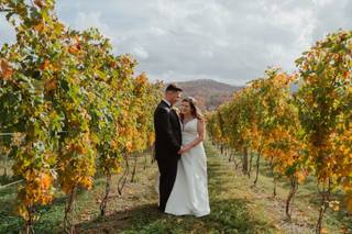 Hazy Mountain Vineyards & Brewery - 12