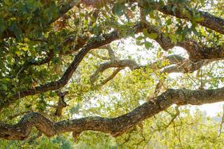 Katherine Beth Photography - 42