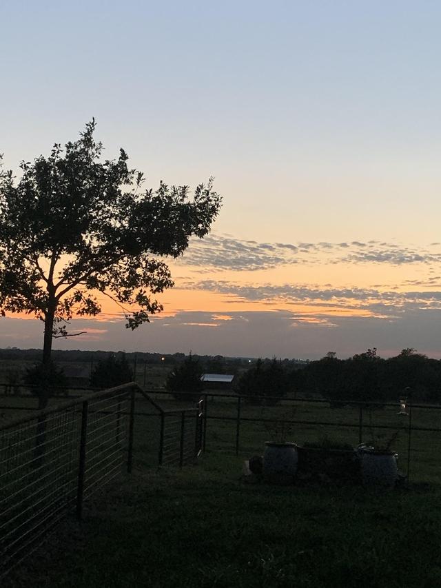 White Rose Ranch Retreat - 2