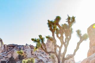 BYC Photography - 19