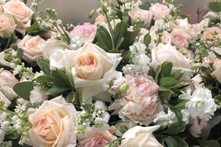 Bellisario Florist - 28