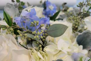 Alta Fleura - 60