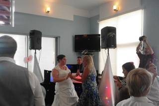 Platinum Entertainment DJ Services - 9