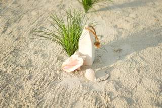 Paradise Beach Weddings - 73