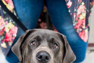 Lauren Renee' Photography - 10