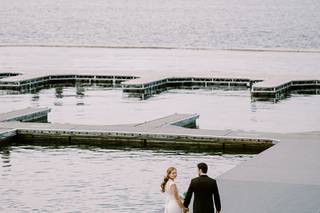 Lionlady Photography - 5