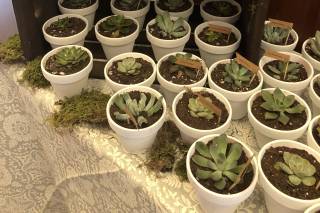 Stem Event Design - 21