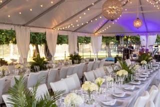 Elegant Occasions by JoAnn Gregoli - 8