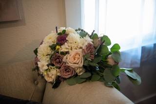 The Painted Primrose - 58