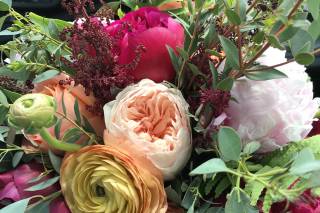 Peony Design Studio - 54