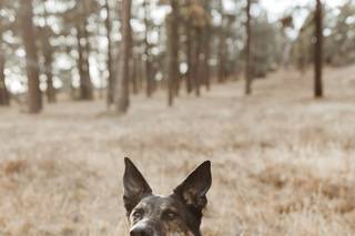 Khoa Photography - 87