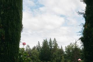 Lisa Mattera Weddings & Events - 15