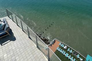 Opal Sands Resort - 21