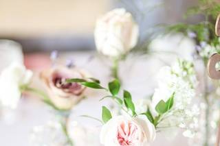 The Flower Kitten - 55