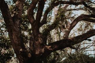 Jenny Boyer Photography - 18