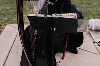 Celtic Harp Music by Anne Roos - 11