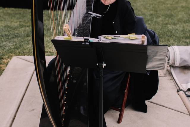 Celtic Harp Music by Anne Roos 4