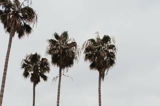 The Point - 14