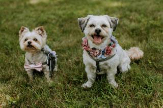 Chris Bennett Photography - 7