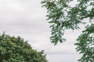 Elegant Wedding Services - 5