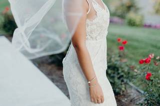 Elegant Design - 8
