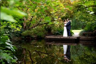Alex Levine Photography - 8