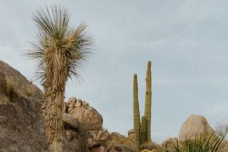 The Boulders Resort & Spa Scottsdale - 36
