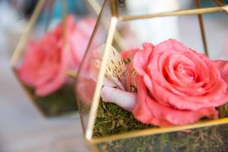 Danielle Lirette Photography - 15
