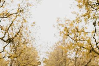 Priscilla Banuelos Photography - 8