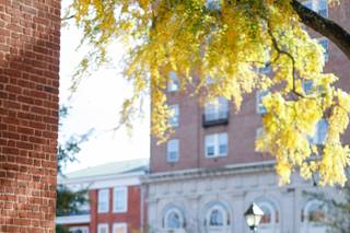 Amanda Maglione Photography - 26