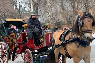 A Central Park Wedding - 50