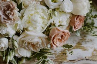 Golden Thistle Design - 68