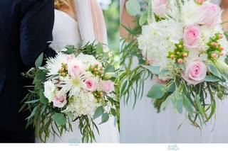 Carla Lawrence Photography - 17