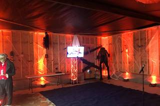 Dynamic Entertainment & Lighting Productions, LLC - 22