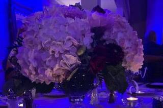 Elegance Remembered - 6